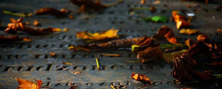 Gress Natursteine in Neu-Ulm